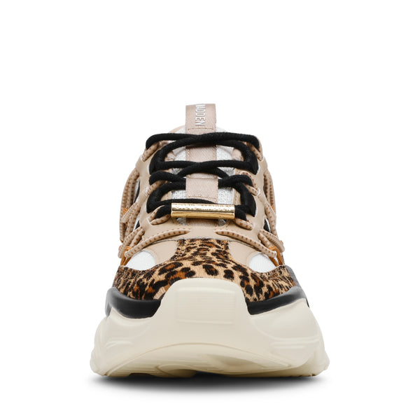 SPECTATOR-L SNEAKER LEOPARD MULTI - Steve Madden Polska