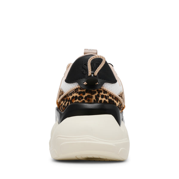 SPECTATOR-L SNEAKER LEOPARD MULTI - Steve Madden Polska