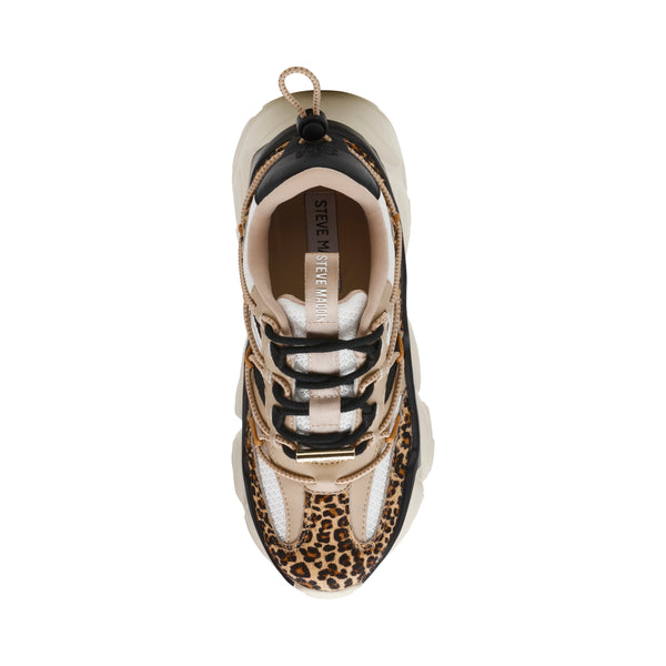 SPECTATOR-L SNEAKER LEOPARD MULTI - Steve Madden Polska