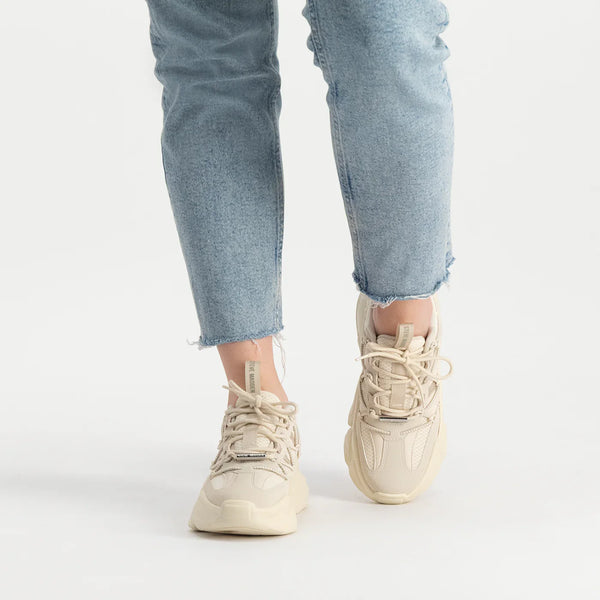 SPECTATOR SNEAKER BONE - Steve Madden Polska